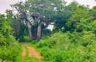 Land in Vipingo - 12