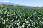 180 ac Land in Kajiado - 1