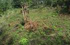 0.25 ac Residential Land in Ngong - 7