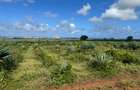 4,046.86 m² Land in Vipingo - 14