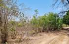 75 ac Land at Vipingo - 17