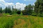 1,000 m² Residential Land at Jambu Tv - 13