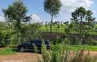 Land at Tigoni - 1