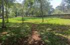 Commercial Land at Westlands - 1