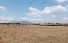 6 ac Land in Naivasha - 1
