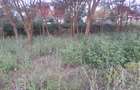 0.5 ac Land in Ongata Rongai - 2