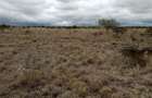 50 ac Land in Konza City - 4