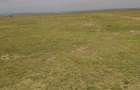 Residential Land in Nanyuki - 13