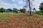 Residential Land at Off Pan African Insurance Avenue - 1
