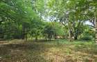 2 ac Land at Mtwapa Creekside - 12