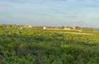 Land in Malindi - 1