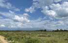 0.5 ac Land in Nanyuki - 1