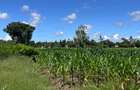 464 m² Land at Mavueni - 7
