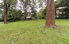 1 Bed Apartment with Parking at Laikipia Road - 10
