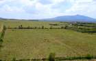 Residential Land in Naivasha - 3