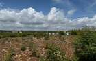 Land in Vipingo - 9