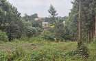 0.25 ac Land in Ruaka - 10