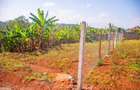 0.045 ha Land at Mugutha - 8