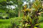 Residential Land at Hardy Area - 3