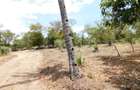 10,000 ft² Land in Vipingo - 8