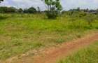 Land in Muthaiga - 6