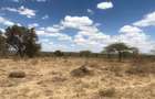 Land in Kajiado - 1