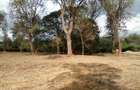 Residential Land at Off Ngong Rd - 5
