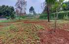 Residential Land at Pan African Insurance Avenue - 1