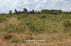Land in Ngong - 8