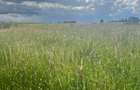 Land at Sunshine - 4