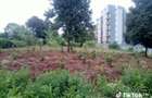 Commercial Land in Ruaka - 2