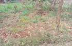 0.25 ac Land at Dagoretti Road - 1