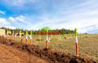 0.05 ha Residential Land at Nachu - 3