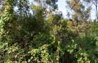 36 ac Land in Kikuyu Town - 4