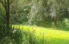 0.75 ac Residential Land at Naivasha Road - 11