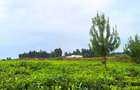 20 ac Residential Land at Riara Ridge - 5