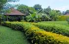 4 Bed Townhouse with En Suite at Runda - 14