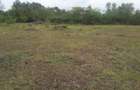 0.5 ac Residential Land in Karen - 4