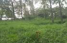 Land at Kibiko Ngong - 8