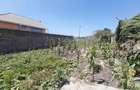 4 Bed House with En Suite at Rimpa - 17
