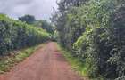 1 ac Land at Limuru Road Ack St Julian - 6
