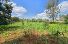 Residential Land in Runda - 4
