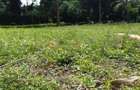 1 ac Land in Lavington - 1