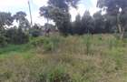 0.5 ac Land in Kikuyu Town - 6