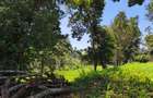 Land in Kitisuru - 7