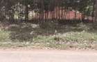 0.7 ac Land in Kikuyu Town - 4