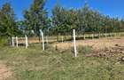 505 ac Residential Land at Burguret - 4