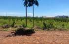5 ac Land at Evergreen - Kiambu Road - 8