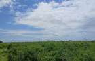 Land in Watamu - 10