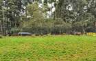 4 Bed Townhouse with En Suite in Rosslyn - 10